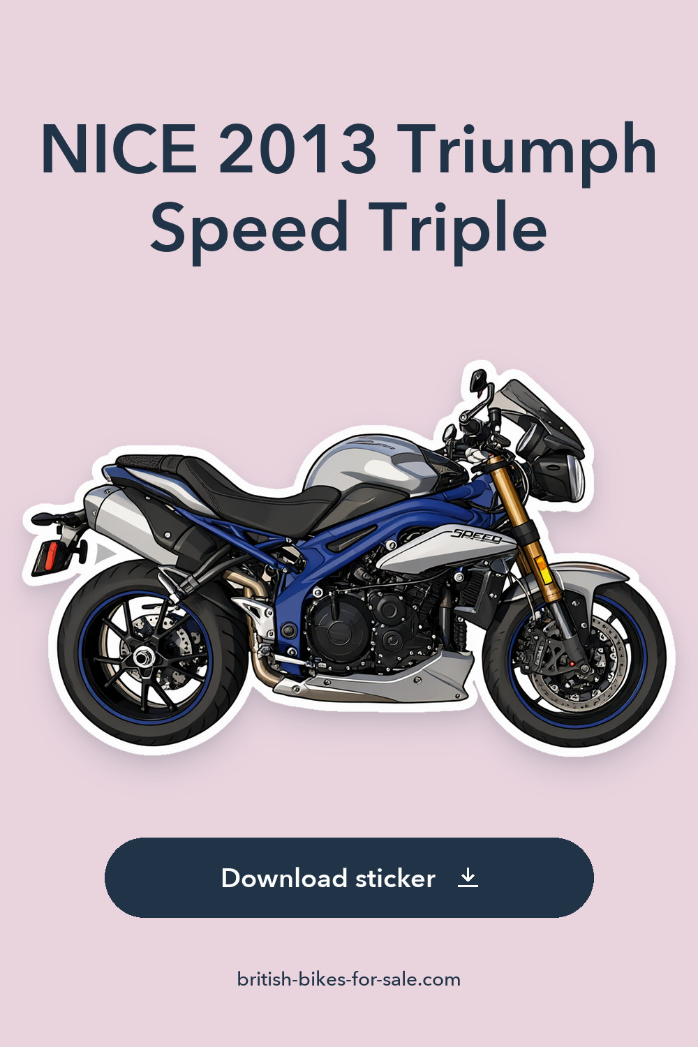 NICE 2013 Triumph Speed Triple sticker preview