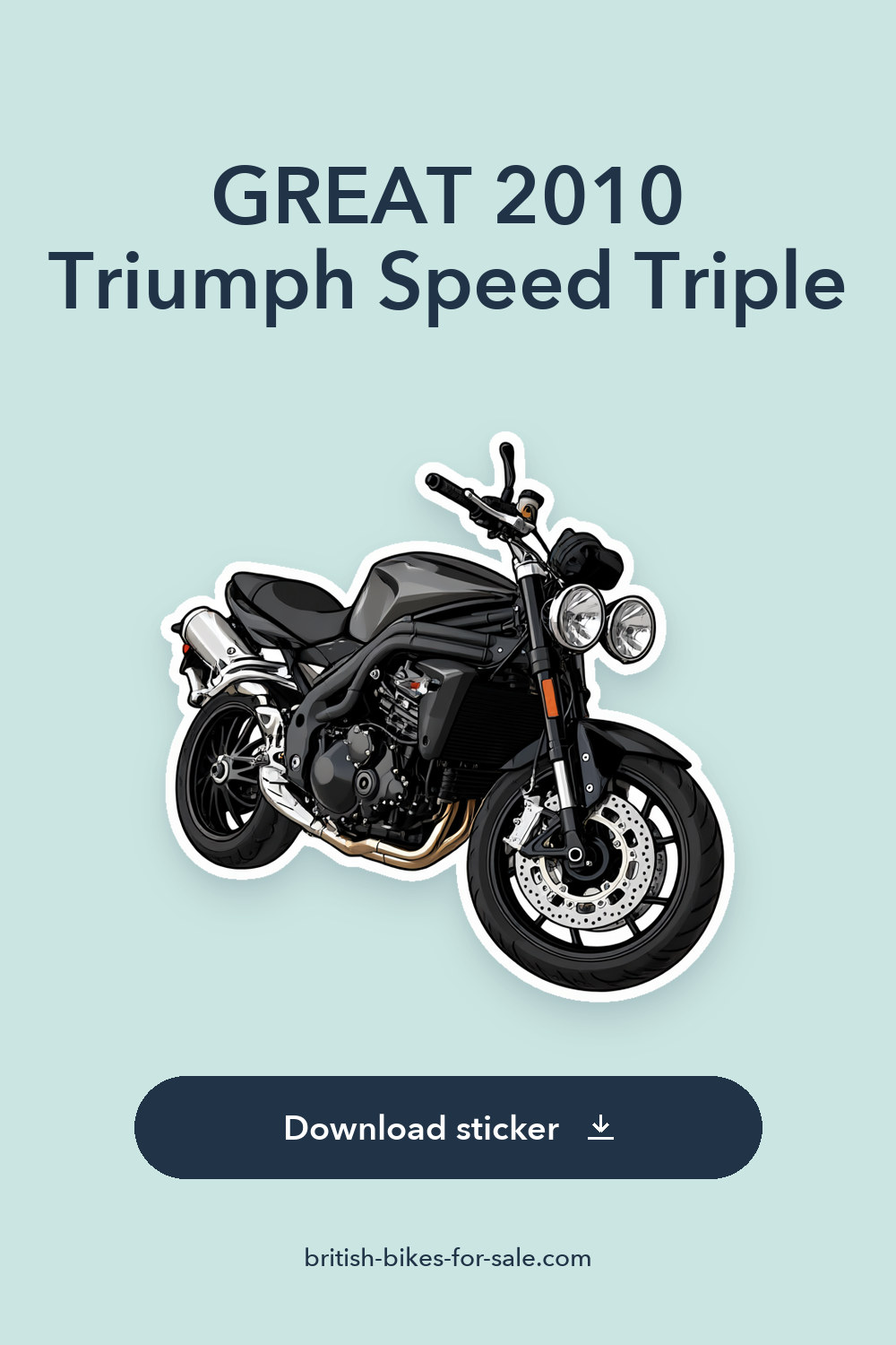 GREAT 2010 Triumph Speed Triple sticker preview
